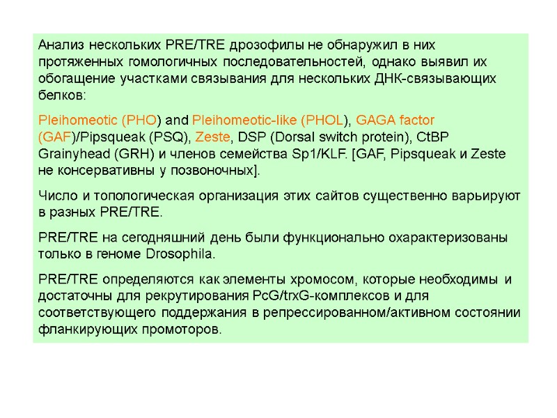 Анализ нескольких PRE/TRE дрозофилы не обнаружил в них протяженных гомологичных последовательностей, однако выявил их